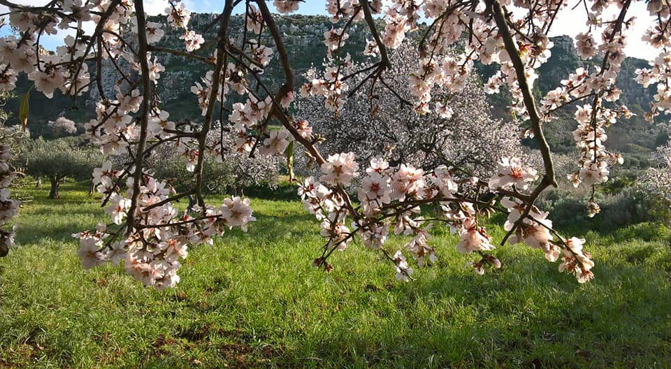 Storie di sapori e tradizioni